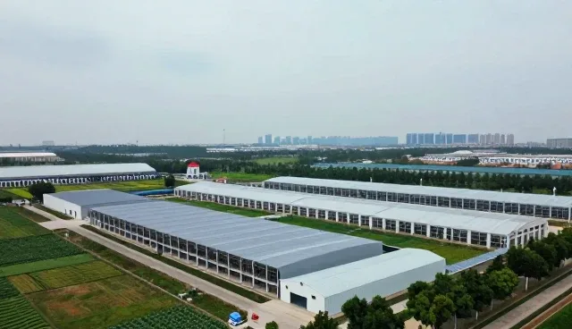 内容审核在账号代运营中的实际应用与未来趋势